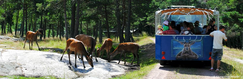 Käringsundin Riistasafari Eckerö Ahvenanmaa | Viking Line